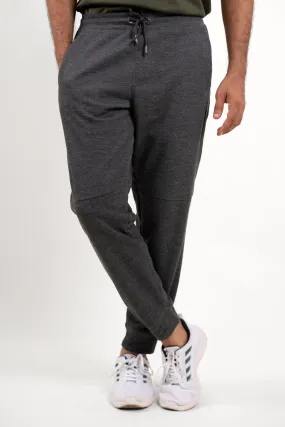 Nexus Gray Joggers For Man