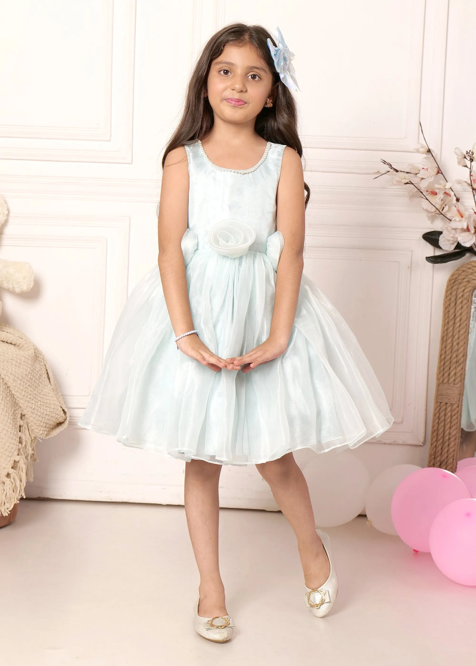 Sky Blue Rose Organza Dress