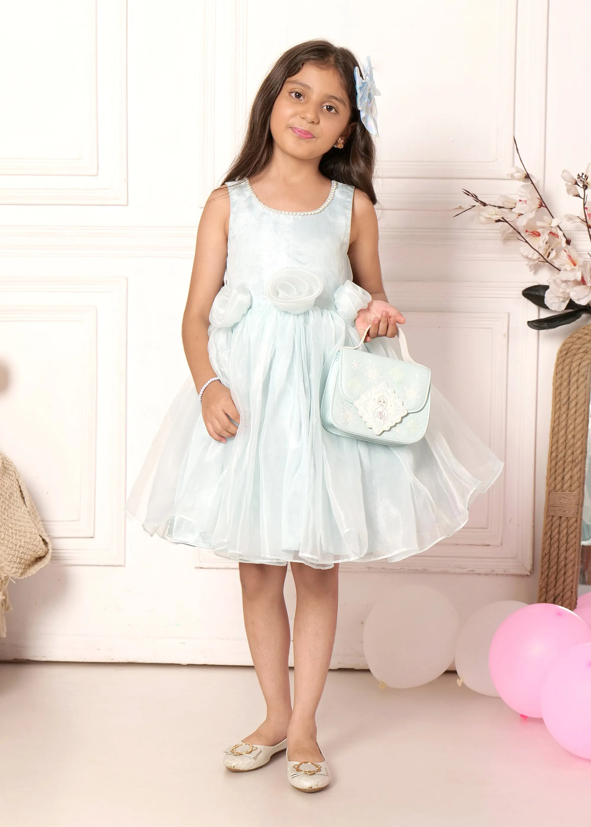 Sky Blue Rose Organza Dress