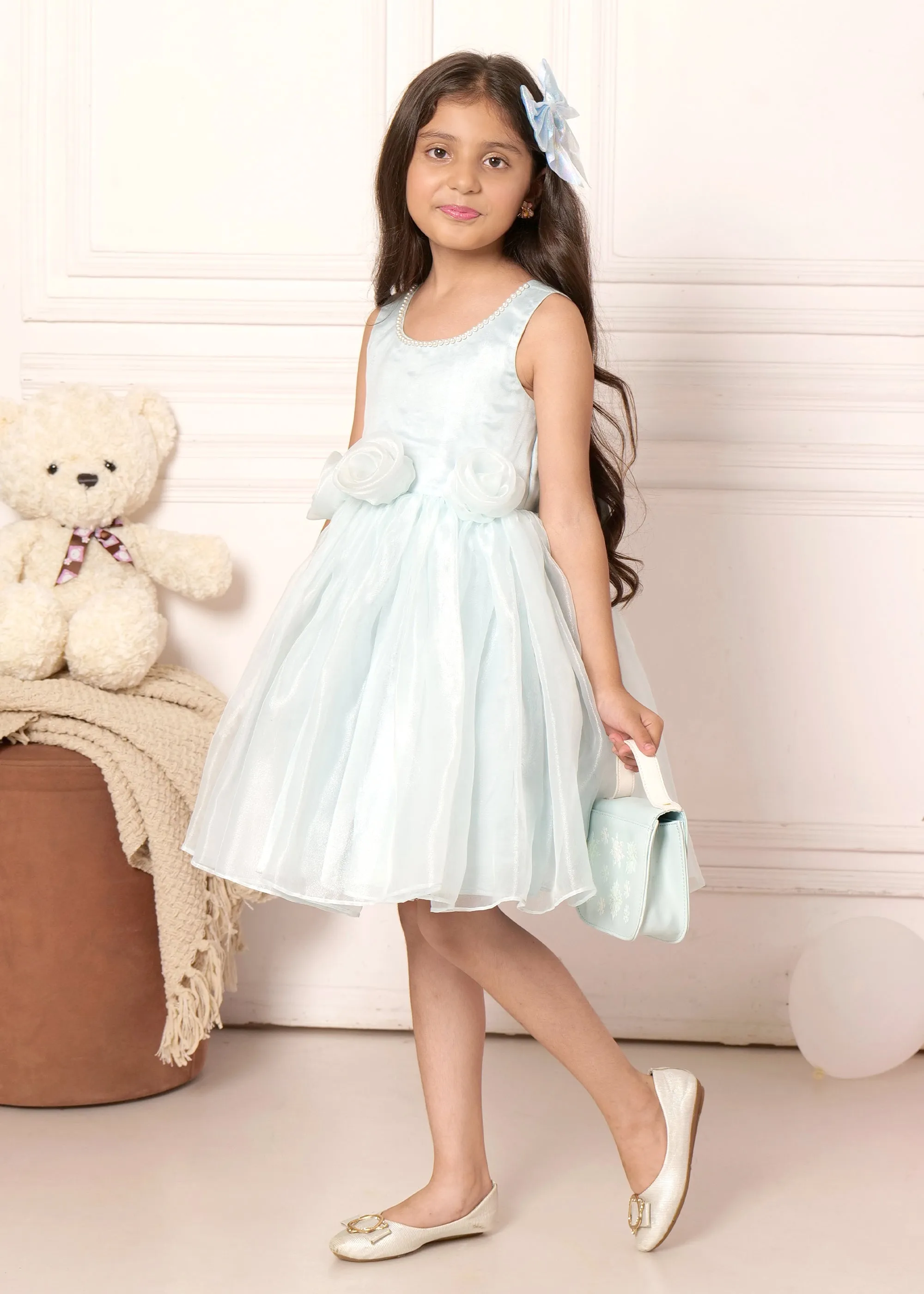 Sky Blue Rose Organza Dress